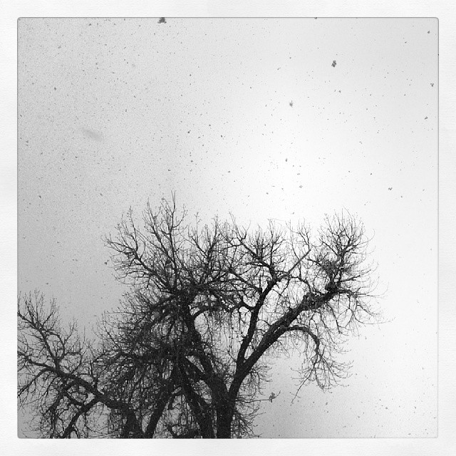 70 to snow #Denver #weather #snow
