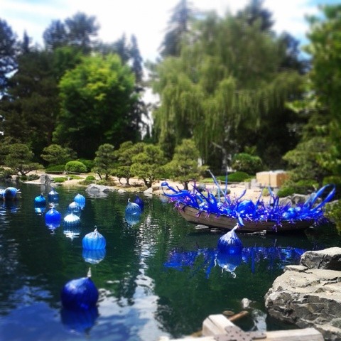 Installing Chihuly #Denver #botanicgardens #art #sculpture