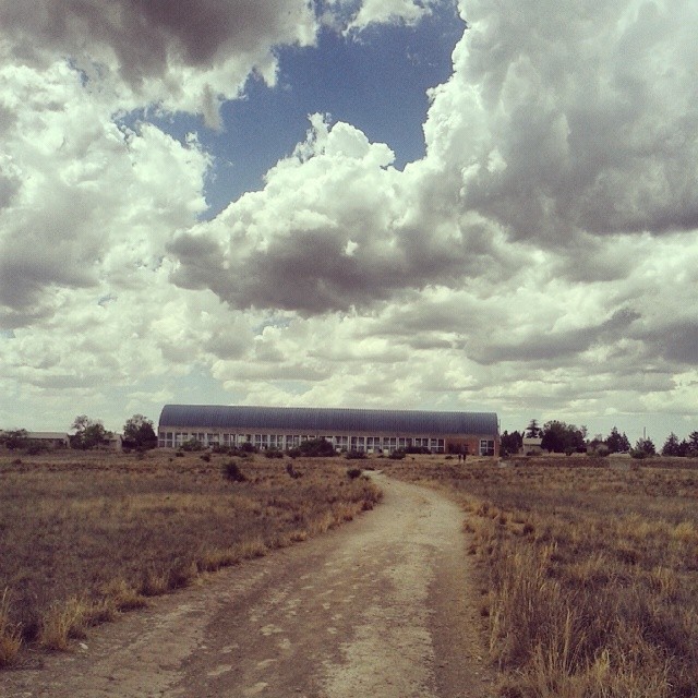 Chinati #marfa