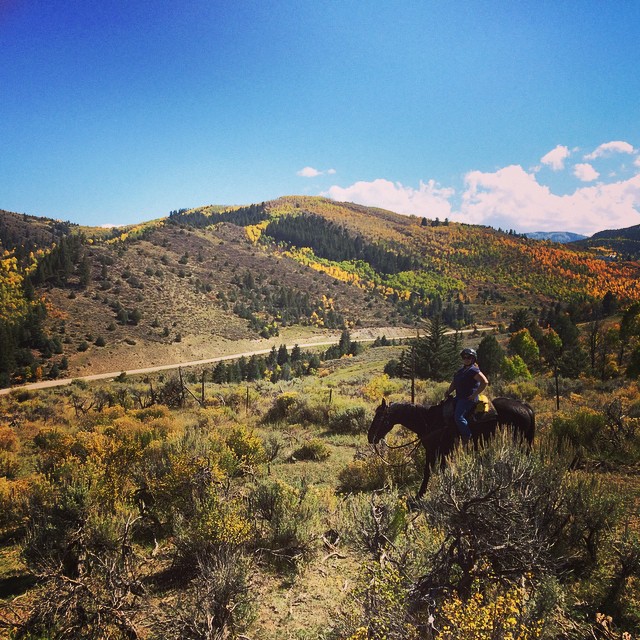 Landscape #mountains #edwards #colorado #horse