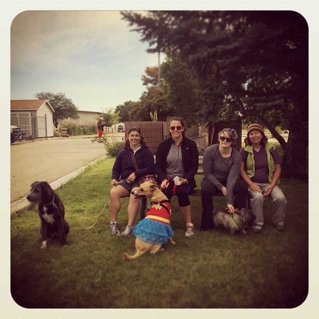 5k Paws in the Park #Longmont #colorado #longmonthumanesociety