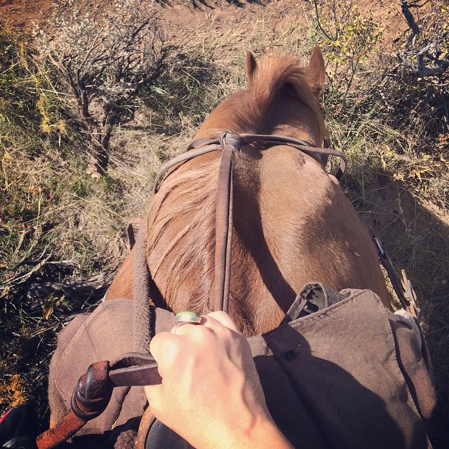 Snacking on the land #horseback #bearcatstables #colorado #mountains