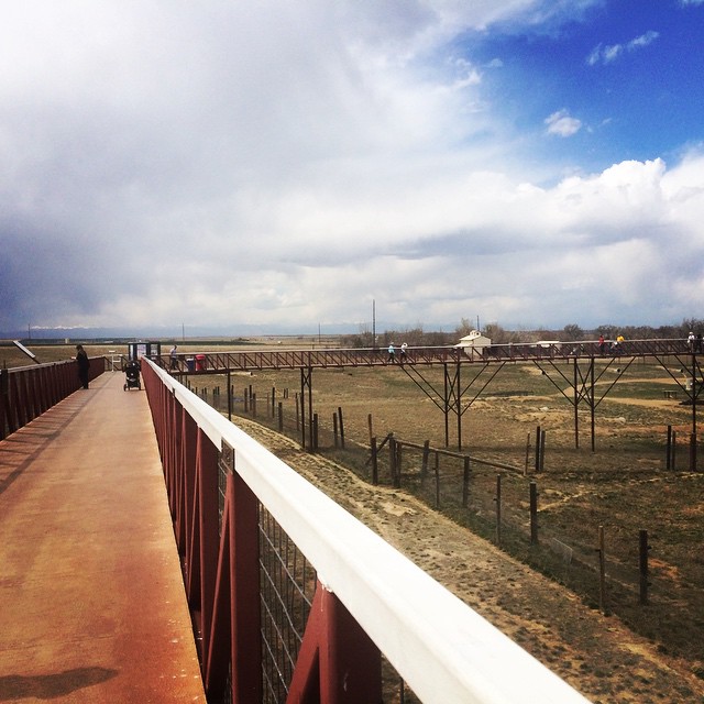 Wild Animal Sanctuary elevated walkway #colorado #mountains