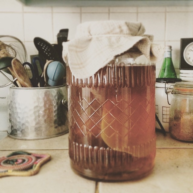 Kombucha #homebrew #kombucha #tea