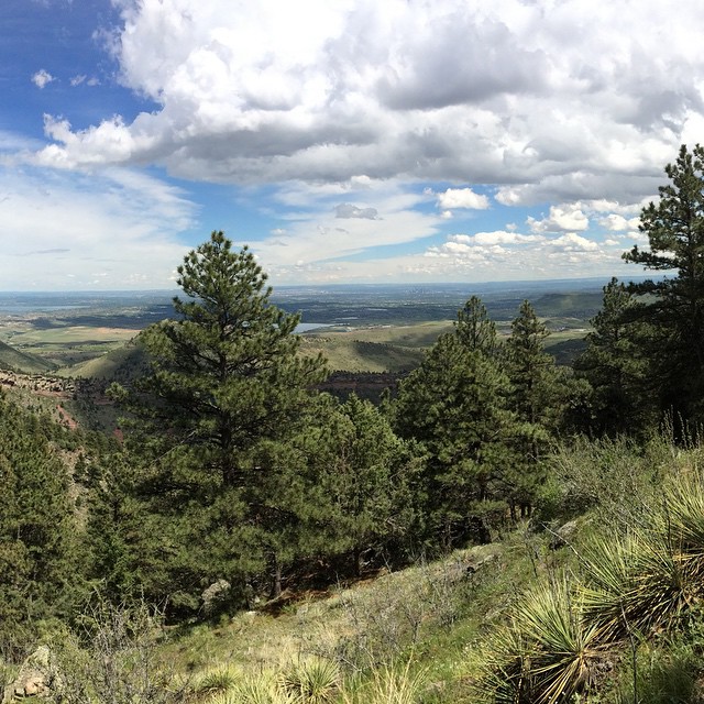 Denver skyline in distance #whiteranch #golden #hike #colorado