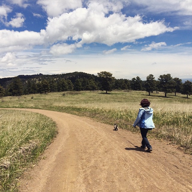 White Ranch Open Space #golden #colorado #hike #cairnterrier