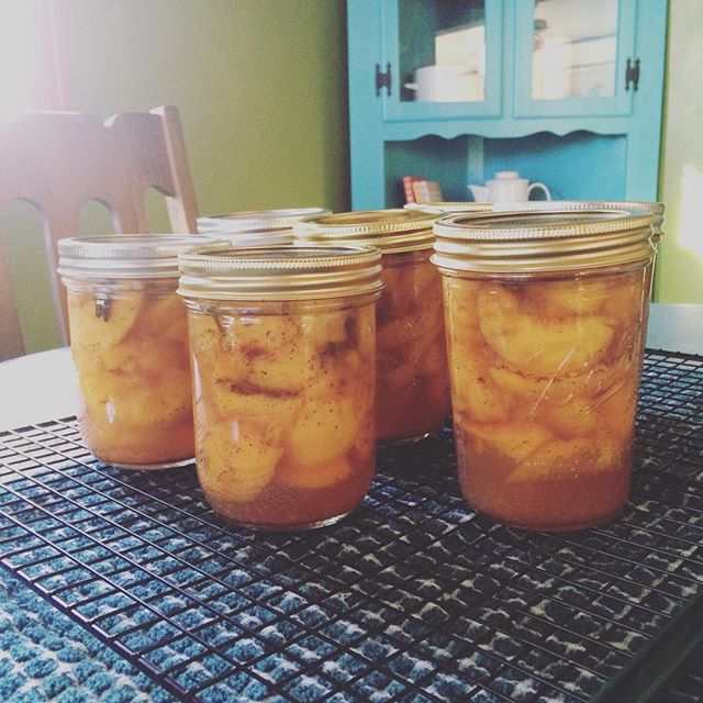 Honey spiced peaches my first solo canning batch #canning #peaches #harvest