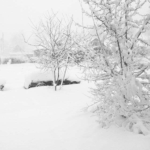 My car #blizzard2016 #aspen #curryday #Denver