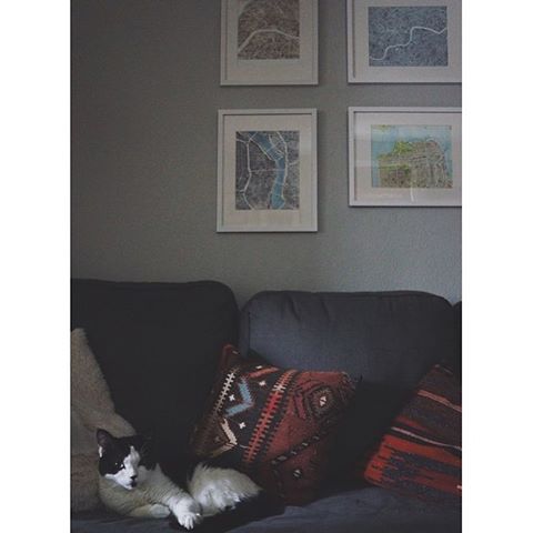 Love seeing a collection of my work in a room @fcollective  #client #collector #art #map  #artcollector #cat  #summitridge #etsy