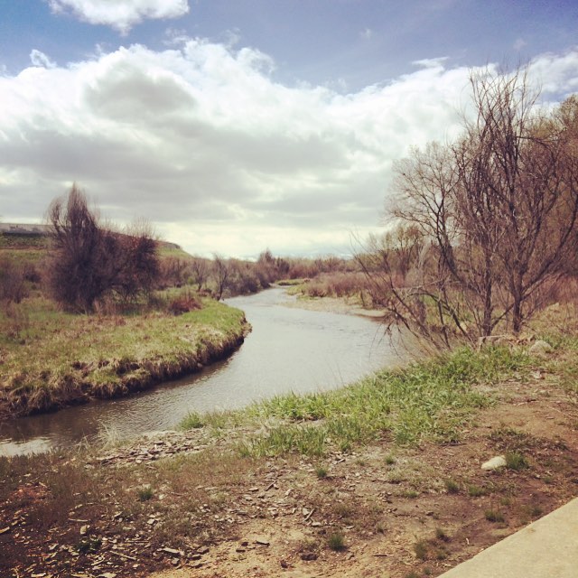 Afternoon bike ride #Denver #bike #biketrail #vegan #schwinn #strava