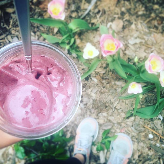 Long walks with Ozzie tulips and cherry banana nice cream Spring in Denver #lovethislife #vegan #rawtil4 #Denver #forksoverknives #plantbased