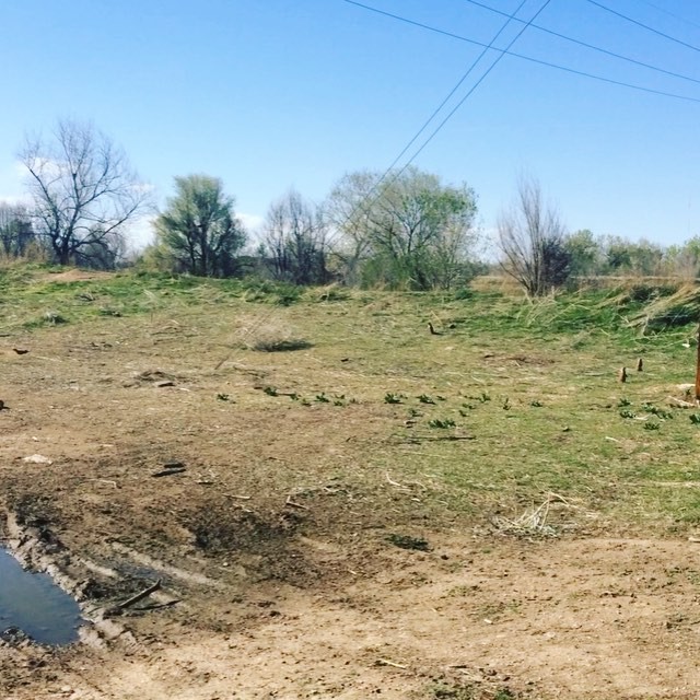 Bike ride to the dogs #denver #prairiedog #schwinn #bikelife